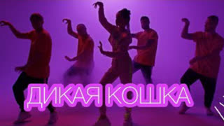 ALEXANDRA (Александра) - Дикая кошка (Премьера клипа 2019)