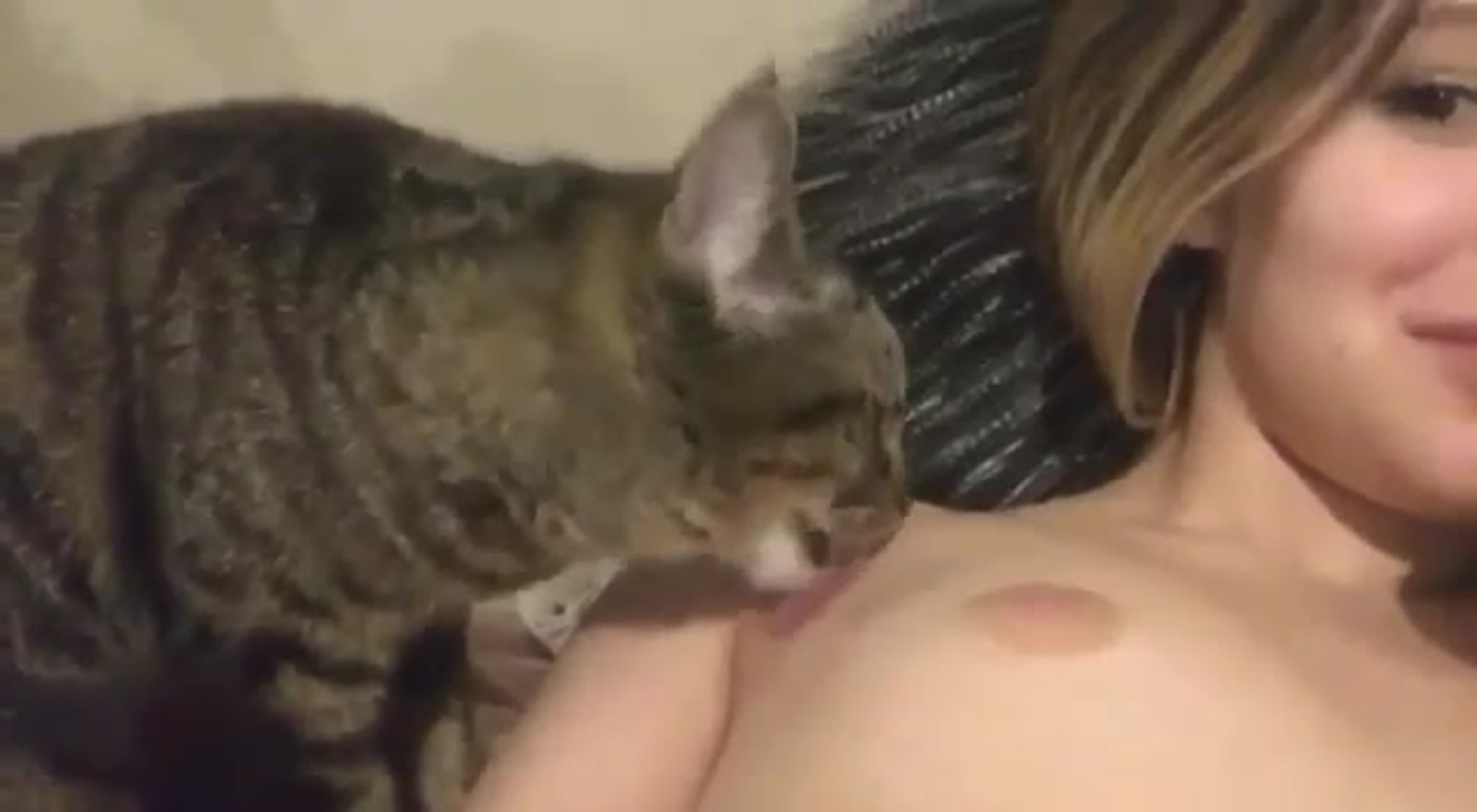 Секс Кот Трахает Девушку