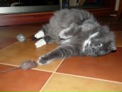 Фотография Глумакова Сергея