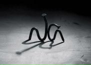 Фотография Зиминой Милены