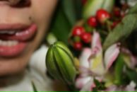 Фотография Braytsara Regina