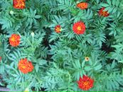 Анна Андреичева фотография #6 (источник - https://vk.com/id3755819)