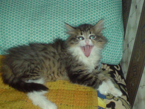 Вова Поляков фото №1