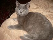 Фотография Пономаревой Екатерины