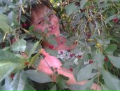 Фотография Шкляевой Елены