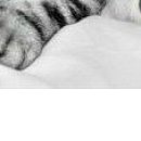 Сірожа Стицюк фотография #30 (источник - https://vk.com/id133380888)