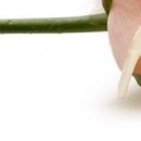 Сірожа Стицюк фотография #41 (источник - https://vk.com/id133380888)