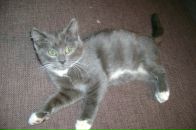 Фотография Турбасова Дмитрия