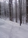 Вася Сірий фотография #19 (источник - https://vk.com/id70227408)