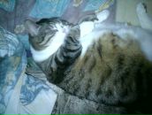 Фотография Шептиенко Настюхи