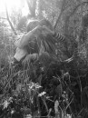 Юля Єфремова фотография #8 (источник - https://vk.com/id40553068)