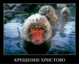 Фотография Немцова Стаса