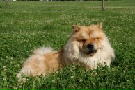 Фотография Гуровой Евгении