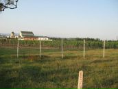 Nazar Matsko фотография #6 (источник - https://vk.com/id28809145)