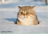 Фотография Ивановой Ирины