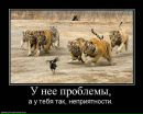 Фотография Локтионова Виктора