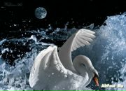 Коля Лебідь фотография #20 (источник - https://vk.com/id98237041)