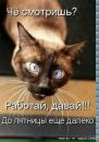 Фотография Дмитриевой Ирины
