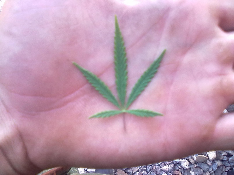 Сергей Бех фотография #44