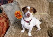 Фотография Лапердина Сергея