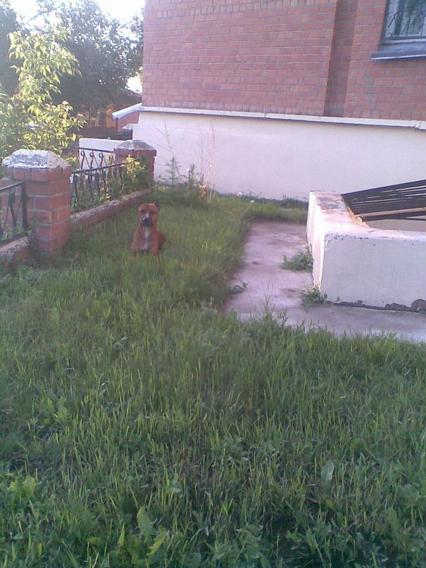 Михаил Сидоров фотография #35