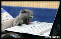 Фотография Соколовой Кристины