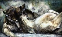 Еріс Волчиц фотография #47 (источник - https://vk.com/id86335377)