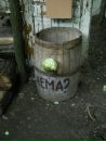 Сергій Жмудь фотография #50 (источник - https://vk.com/id69166529)