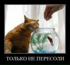 Ірина Редько фотография #49 (источник - https://vk.com/id55667456)