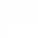 Світлана Курей фотография #42 (источник - https://vk.com/id70915138)