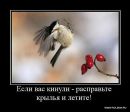 Фотография Богдановой Лейсан