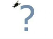 Фотография Бажанова Андрея