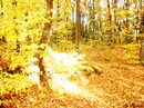 Міленка Конверс фотография #33 (источник - https://vk.com/id151452745)