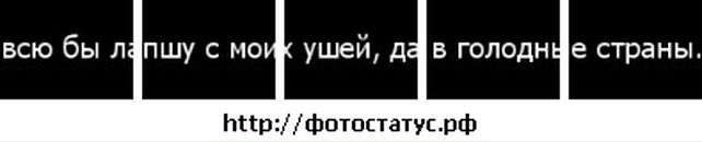 Вадім Корчуганов фотография #31 (источник - https://vk.com/id89833406)