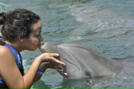 Аня Сергеева фотография #45 (источник - https://vk.com/id3520534)