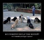 Андрій Чорний фотография #45 (источник - https://vk.com/id16164766)