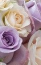 Інна Фiлатова фотография #9 (источник - https://vk.com/id147930485)