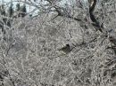 Денис Пухальский фотография #9 (источник - https://vk.com/id145000869)