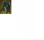 Фотография Андросова Сергея