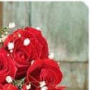 Іра Сакундяк фотография #44 (источник - https://vk.com/id35307343)