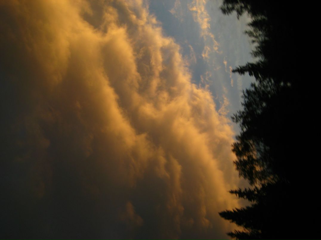 Дмитрий Линьков фотография #15