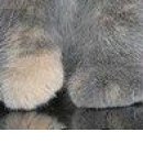 Іванка Качула фотография #46 (источник - https://vk.com/id154400532)