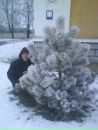 Микола Дрогобецький фотография #30 (источник - https://vk.com/id35026616)