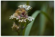 Фотография Филимоновой Александры