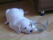 Аня Підлужна фотография #35 (источник - https://vk.com/id9638175)