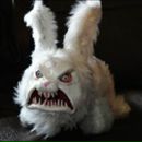 Фотография Gin Tal