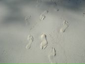 Фотография Стерника Юрия