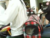 Анна Ремизова фотография #31 (источник - https://vk.com/id300127)