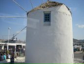 Ольга Візниця фотография #33 (источник - https://vk.com/id46267416)