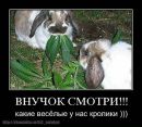 Саня Бардашевській фотография #45 (источник - https://vk.com/id164320090)